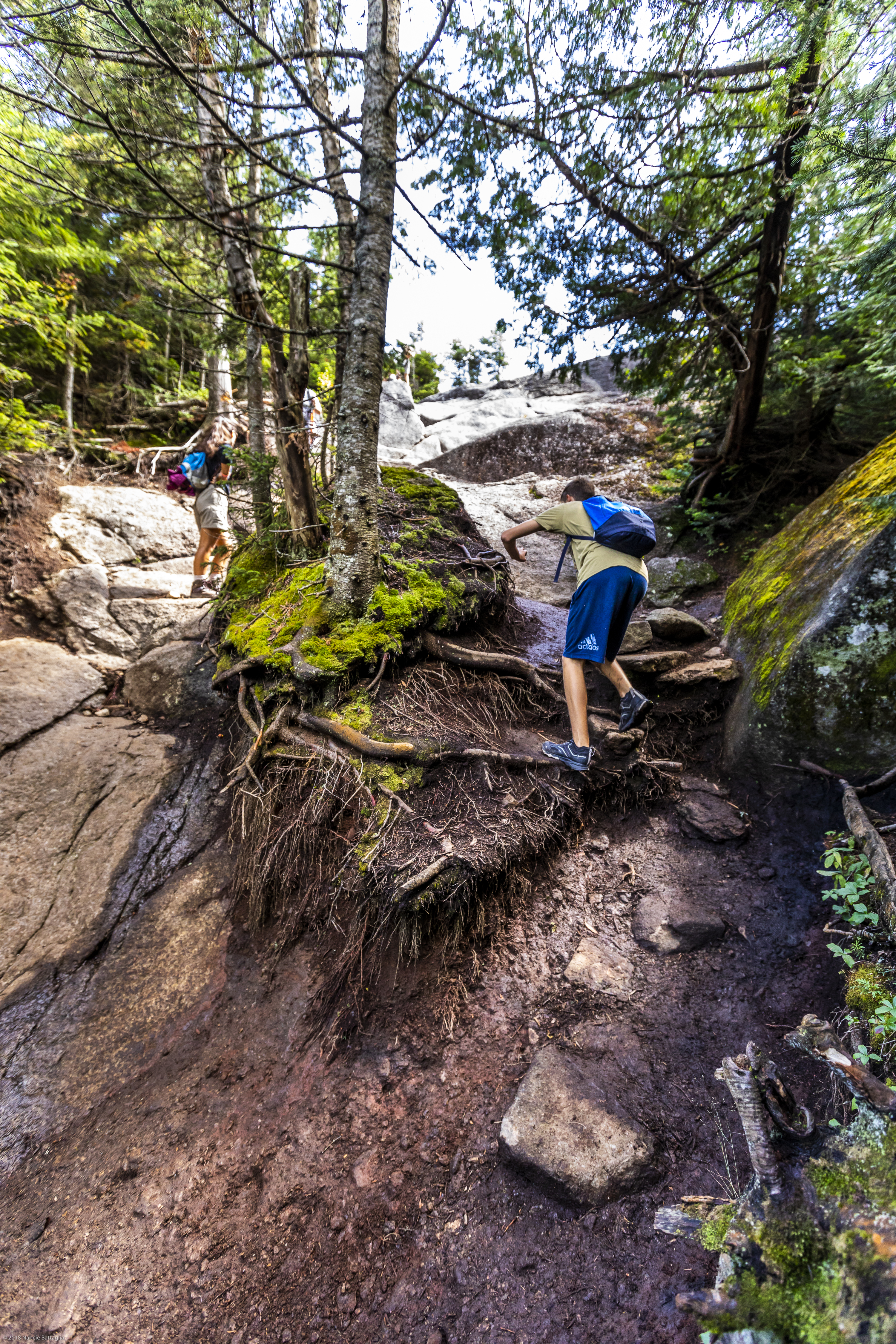 Peaks trails 